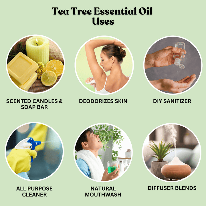 Tea Tree Essential Oil 30ml - Alif Naturals