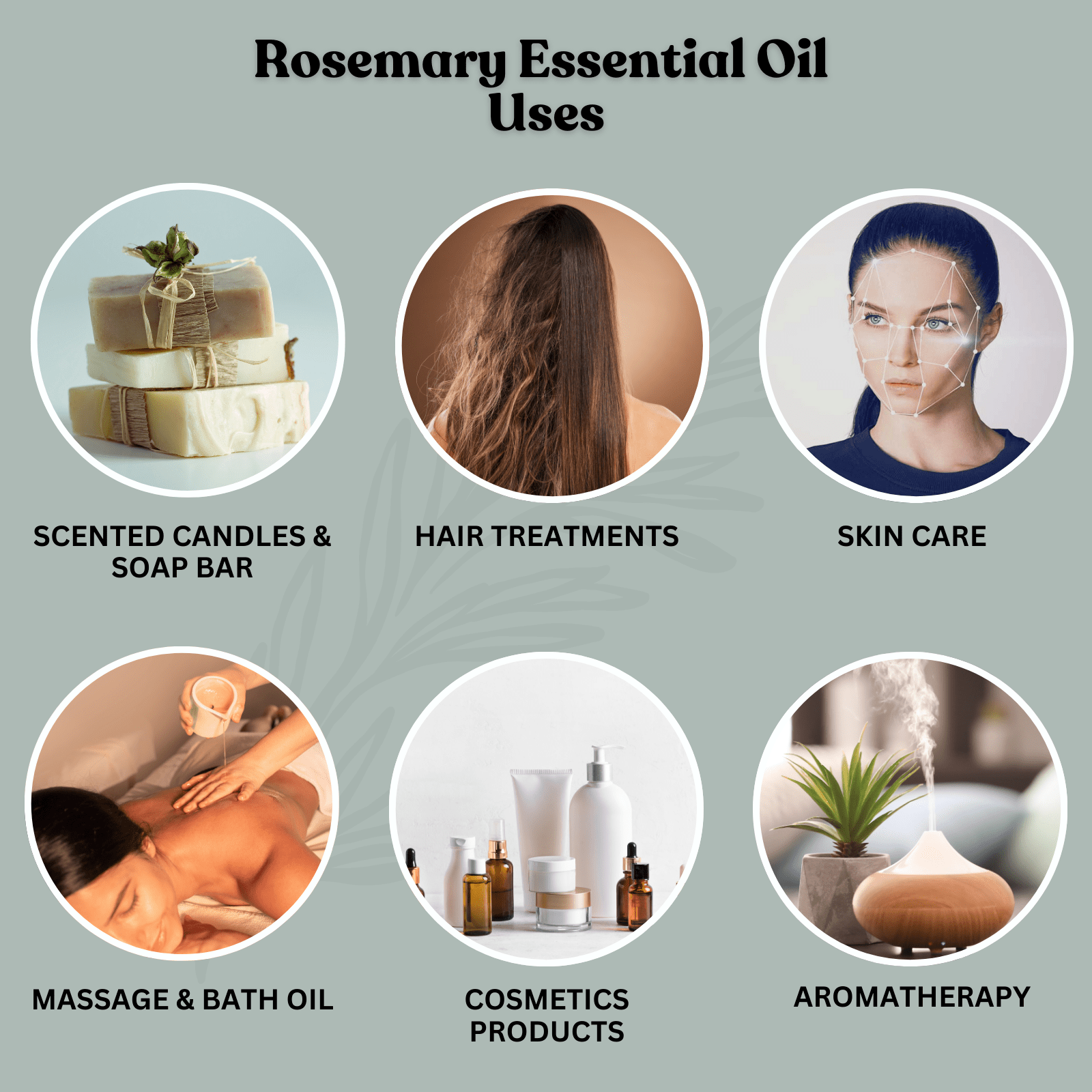 Rosemary Essential Oil 30ml - Alif Naturals