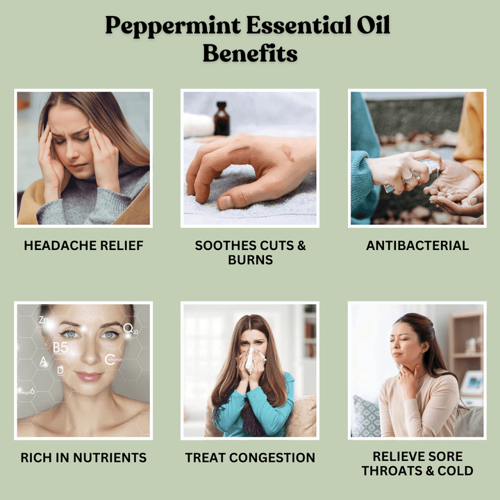 Peppermint Essential Oil 30ml - Alif Naturals
